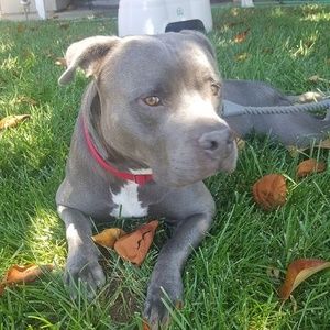 Meet your Posher, Amber